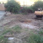 Desbroce Villacil de la Sobarriba (León) 2