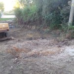 Desbroce Villacil de la Sobarriba (León) 3